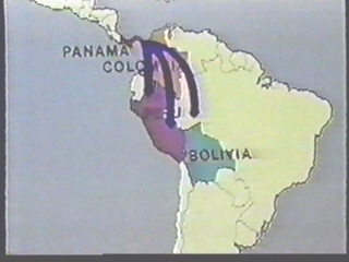 Pan17.jpg (46232 bytes)
