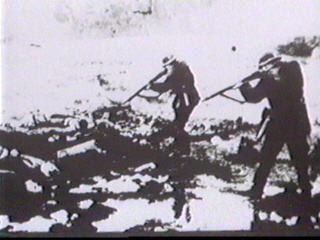 Z21.jpg (47956 bytes)